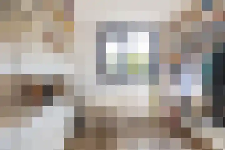 Grevingaheerd 9 Groningen thumbnail 38