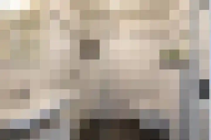 Grevingaheerd 9 Groningen thumbnail 39