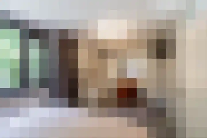 Grevingaheerd 9 Groningen thumbnail 4