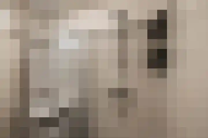 Grevingaheerd 9 Groningen thumbnail 41