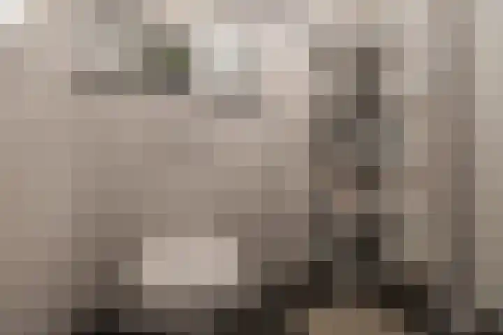 Grevingaheerd 9 Groningen thumbnail 42