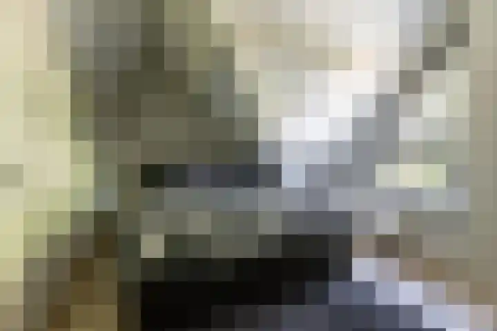 Grevingaheerd 9 Groningen thumbnail 44