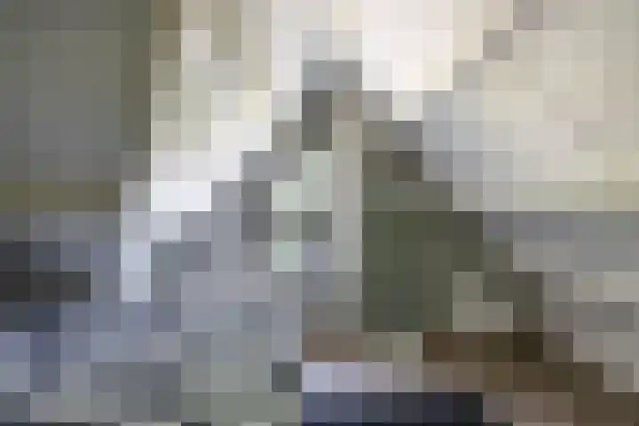Grevingaheerd 9 Groningen thumbnail 45