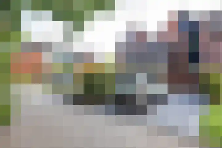 Grevingaheerd 9 Groningen thumbnail 6