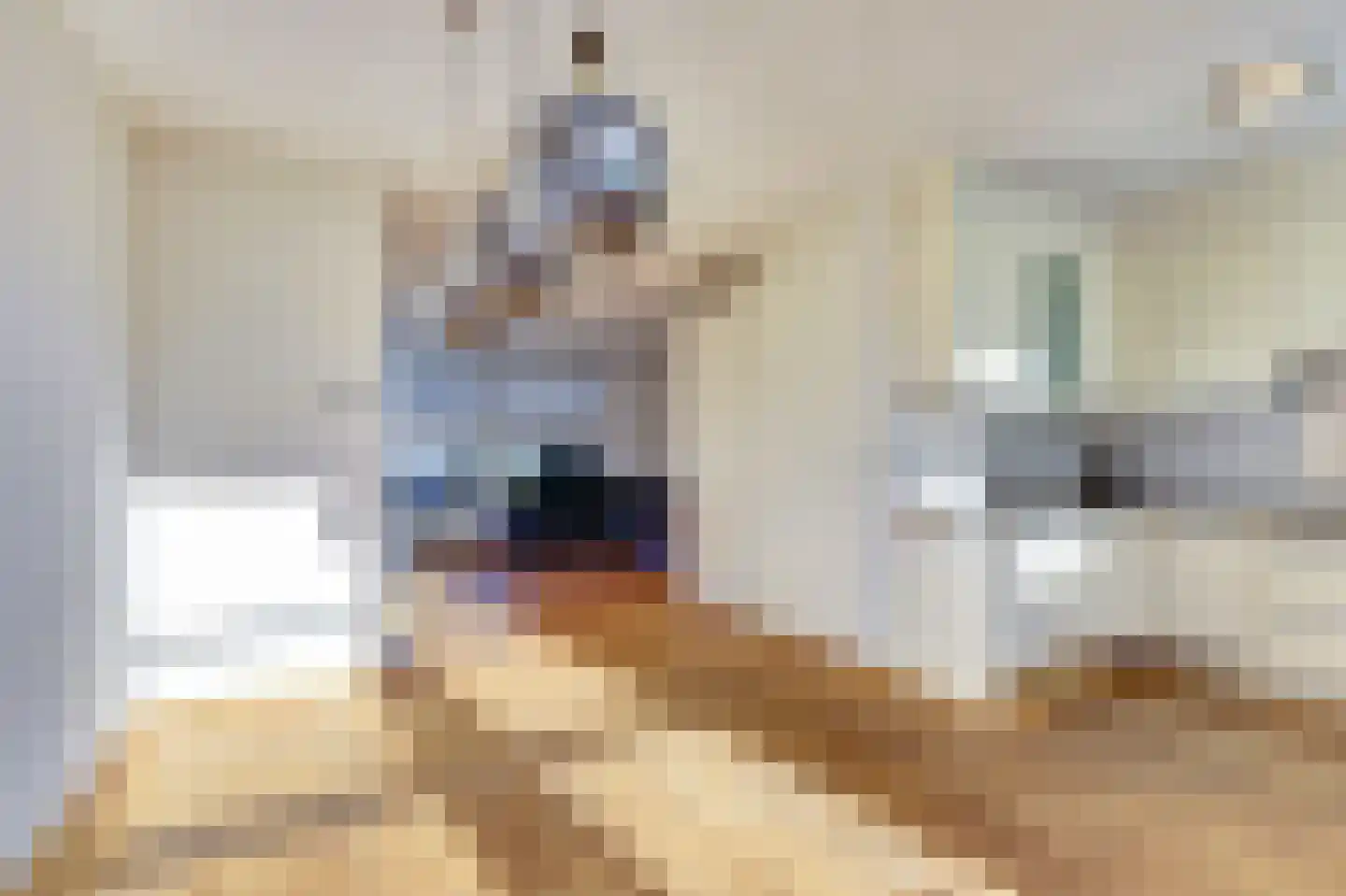 Greyenstraat 41 Venlo thumbnail 7