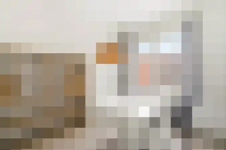 Grianestraat 18 H Amsterdam thumbnail 10