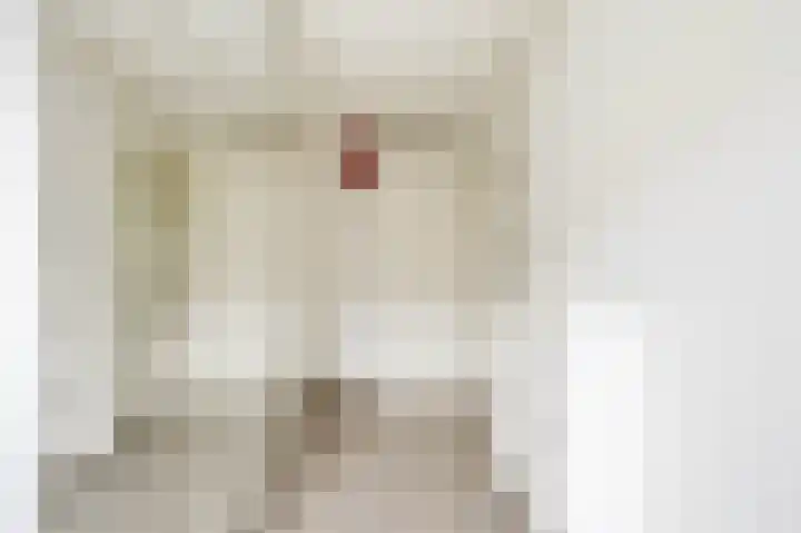 Grianestraat 18 H Amsterdam thumbnail 23