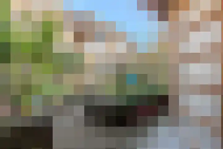 Griede 21 Leimuiden thumbnail 14