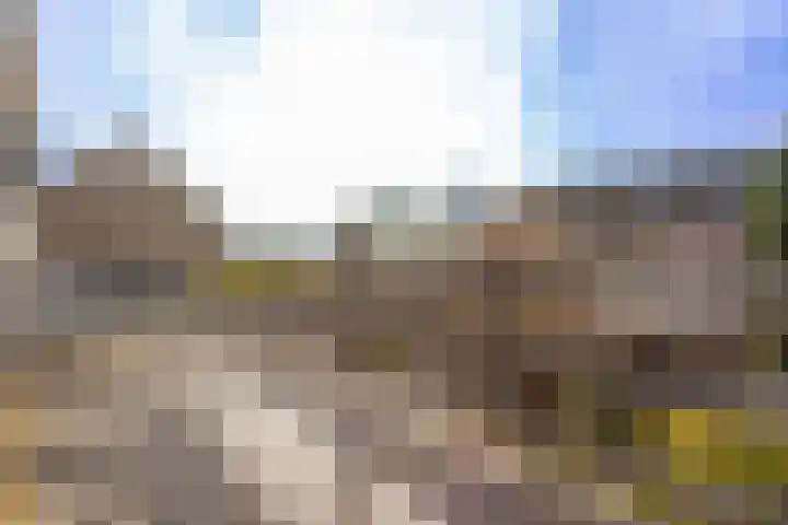 Griede 21 Leimuiden thumbnail 25