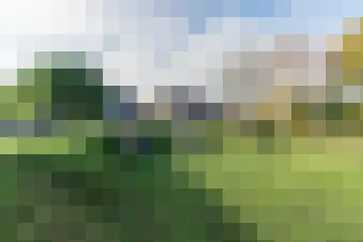 Griede 21 Leimuiden thumbnail 36