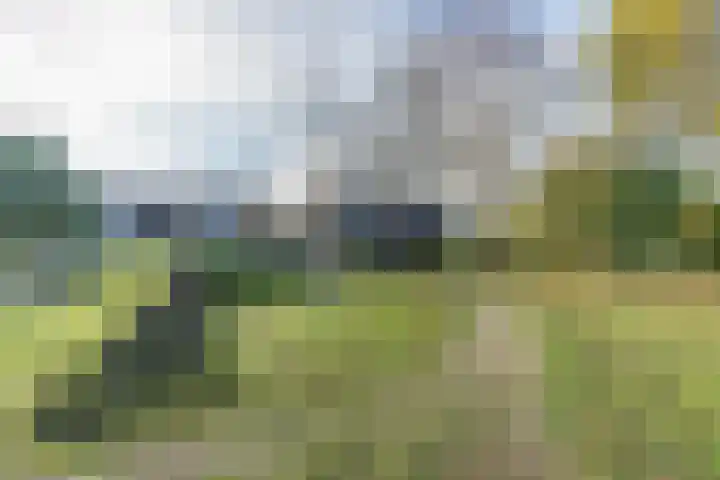 Griede 21 Leimuiden thumbnail 38
