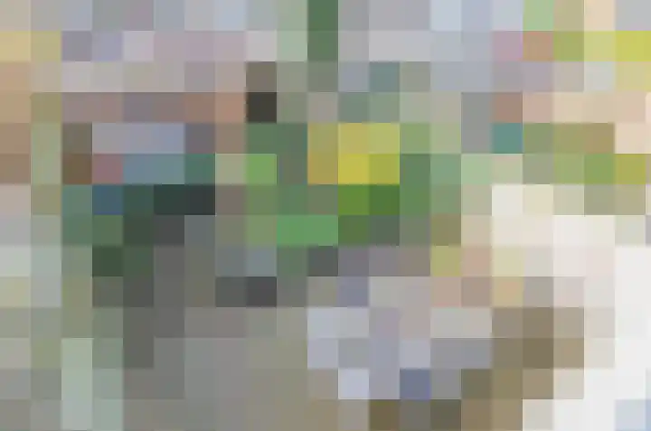 Griede 21 Leimuiden thumbnail 4