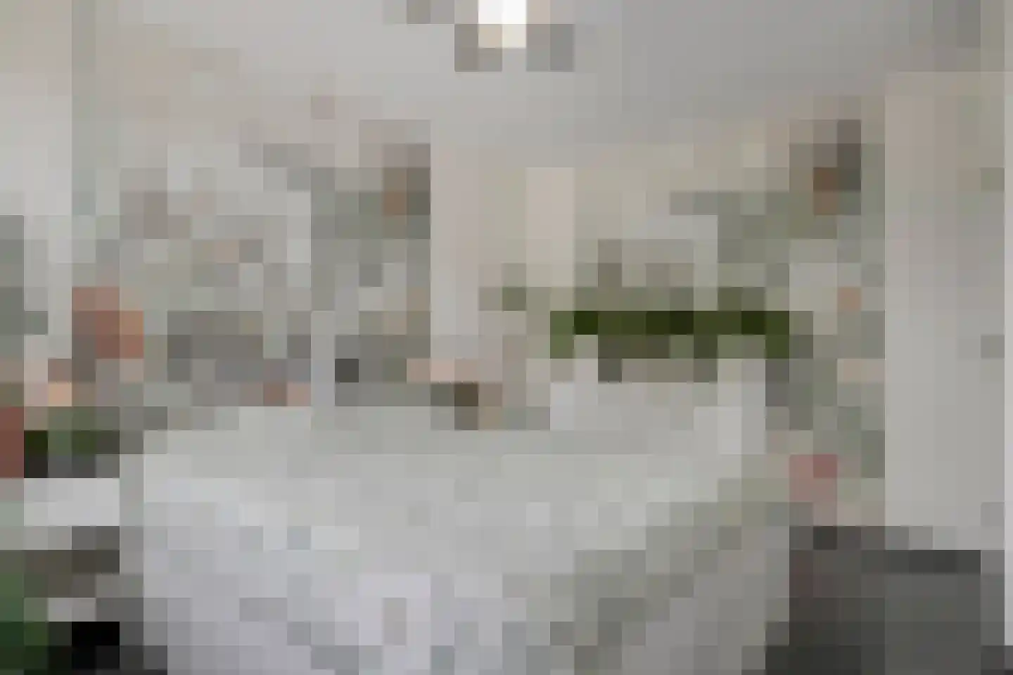 Grieglaan 1 B Eindhoven thumbnail 13