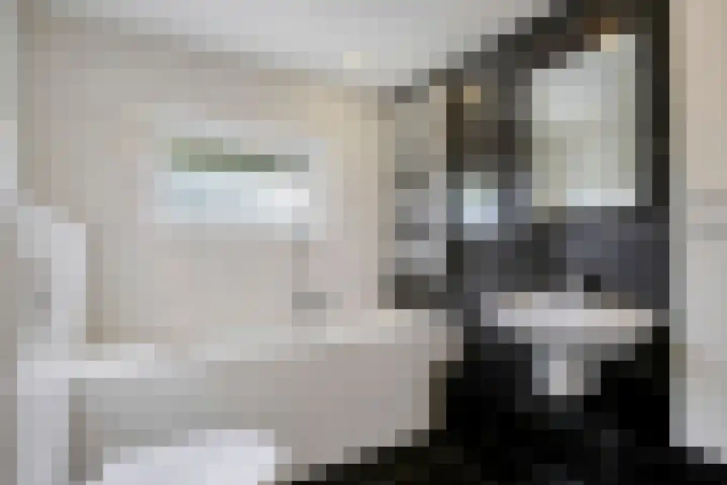 Grieglaan 1 B Eindhoven thumbnail 16