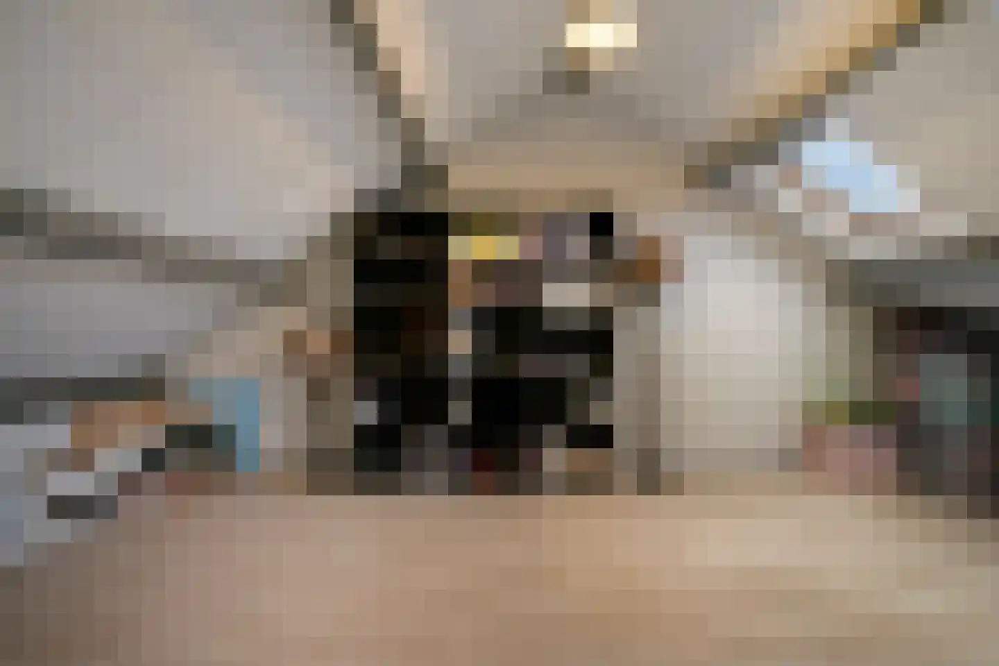 Grieglaan 1 B Eindhoven thumbnail 22