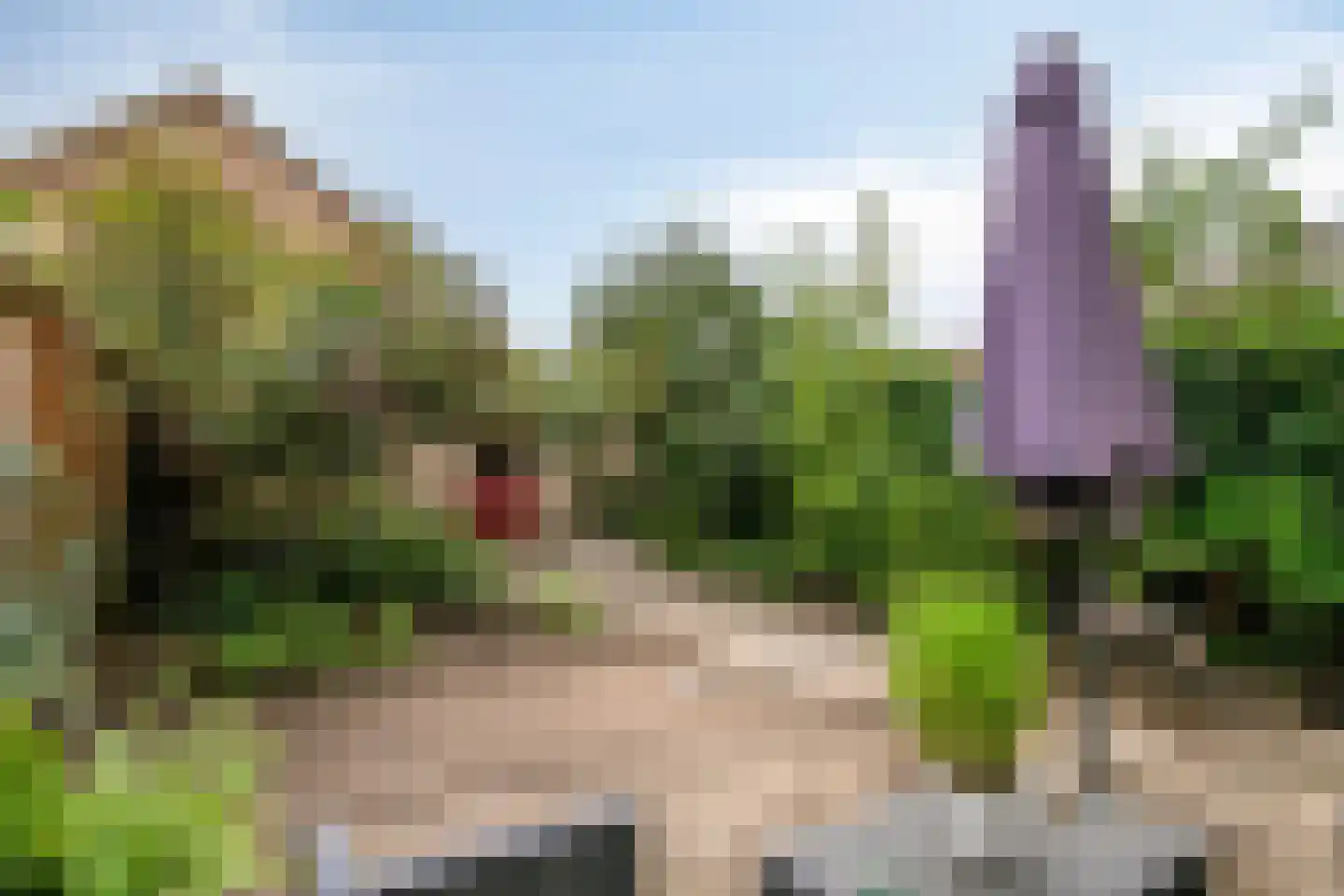 Grieglaan 1 B Eindhoven thumbnail 26