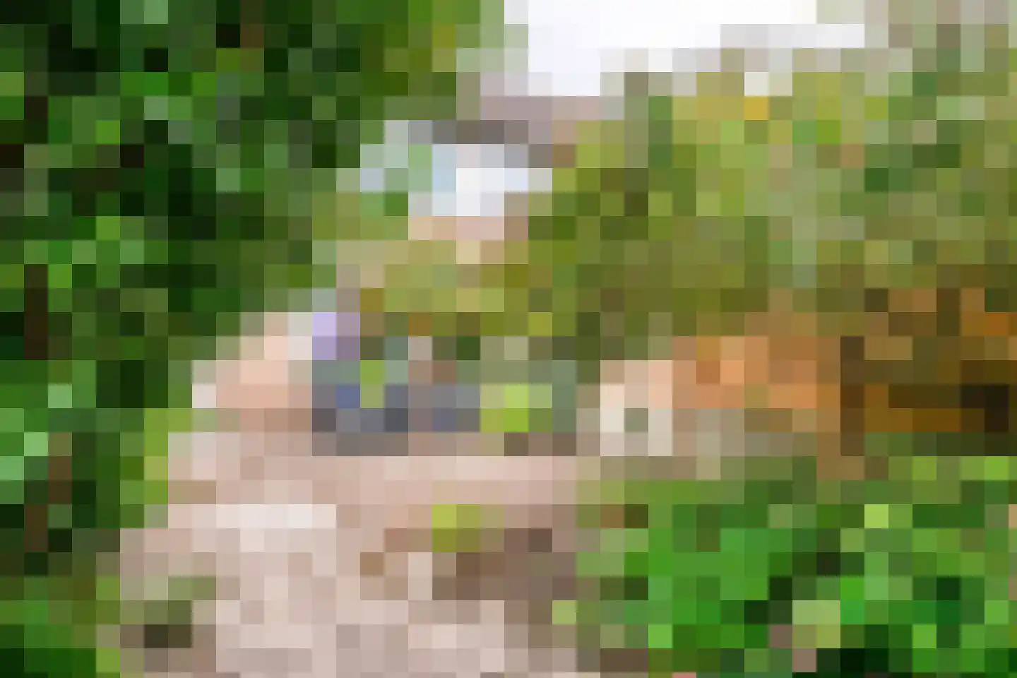 Grieglaan 1 B Eindhoven thumbnail 27