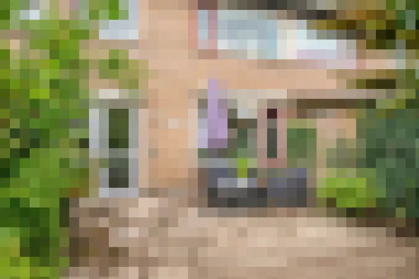 Grieglaan 1 B Eindhoven thumbnail 28