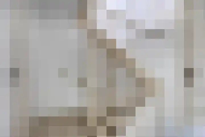 Grieglaan 1 D Eindhoven thumbnail 12