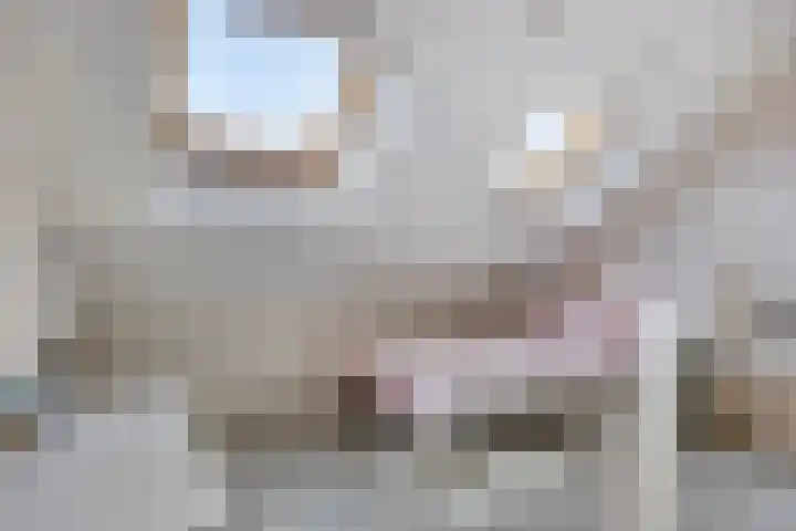 Grieglaan 1 D Eindhoven thumbnail 21