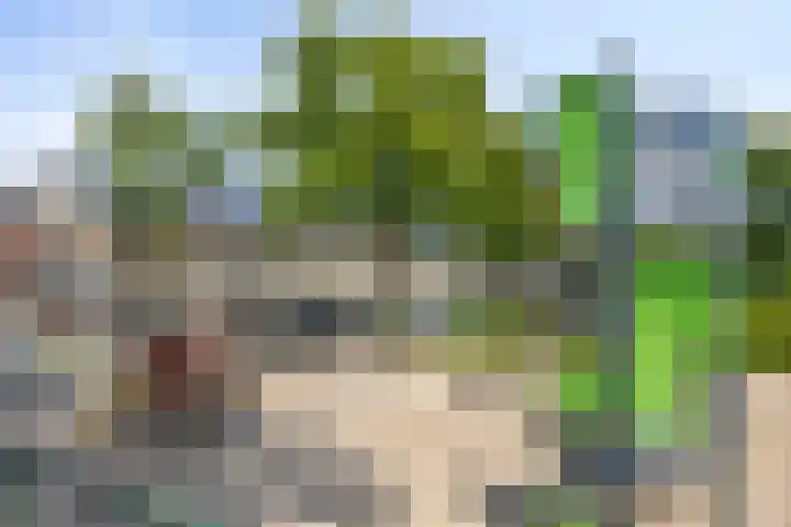 Grieglaan 1 D Eindhoven thumbnail 26