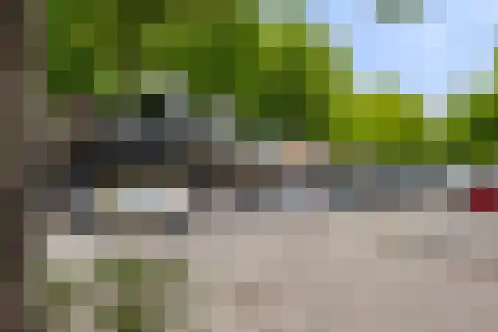 Grieglaan 1 D Eindhoven thumbnail 29