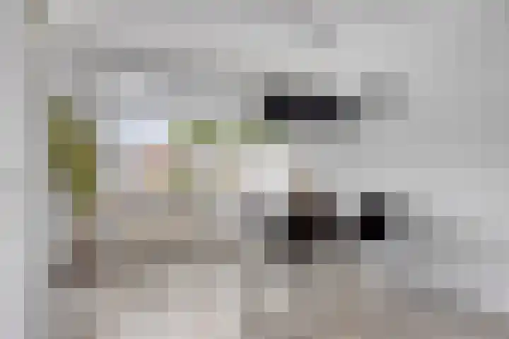 Grieglaan 1 D Eindhoven thumbnail 8