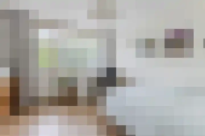 Grieglaan 1 E Eindhoven thumbnail 15