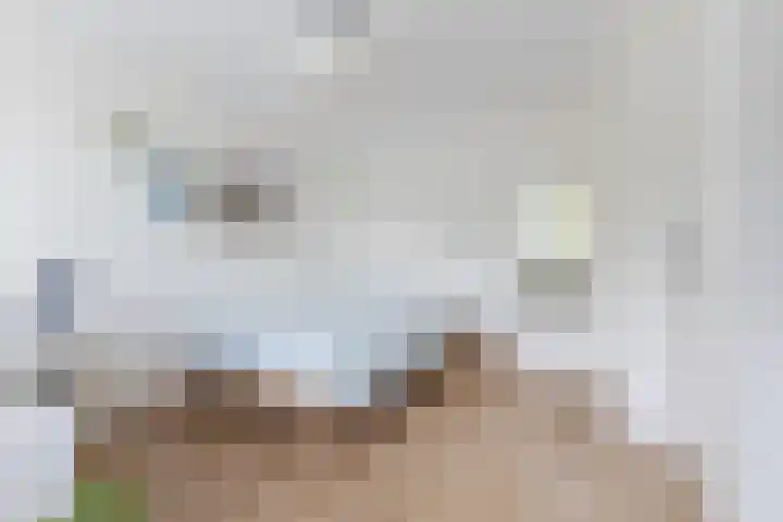 Grieglaan 1 E Eindhoven thumbnail 17