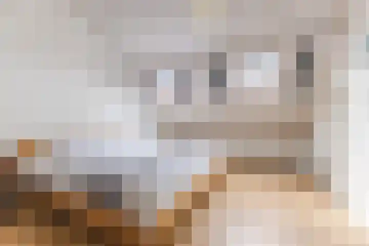 Grieglaan 1 E Eindhoven thumbnail 27