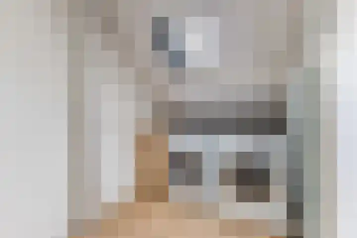 Grieglaan 1 E Eindhoven thumbnail 30