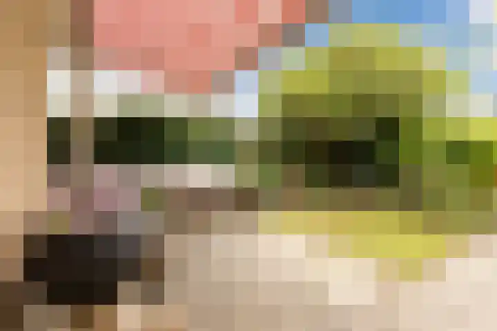 Grieglaan 1 E Eindhoven thumbnail 32