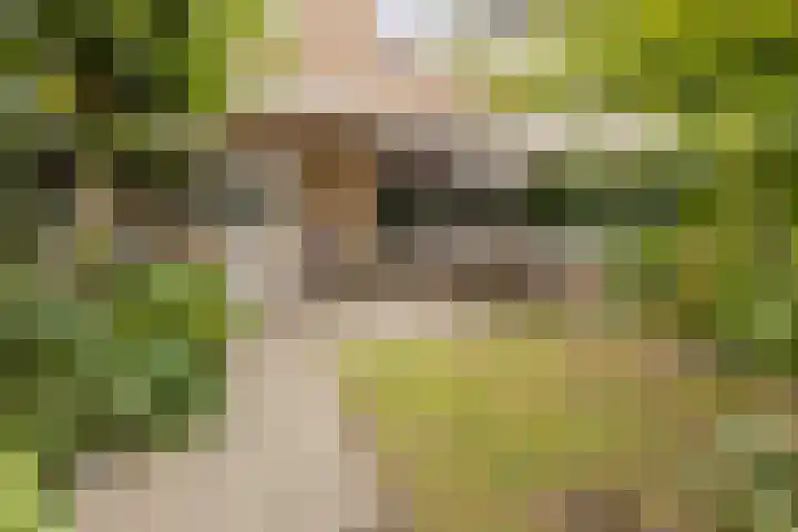 Grieglaan 1 E Eindhoven thumbnail 33