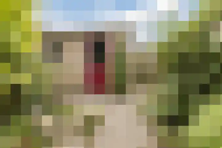 Grieglaan 1 E Eindhoven thumbnail 34