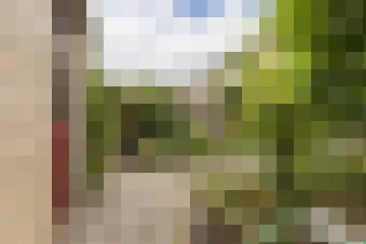 Grieglaan 1 E Eindhoven thumbnail 35