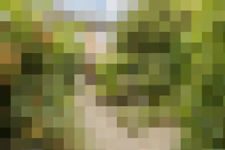 Grieglaan 1 E Eindhoven thumbnail 36
