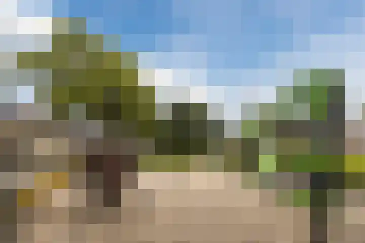 Grieglaan 1 E Eindhoven thumbnail 37