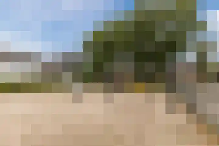 Grieglaan 1 E Eindhoven thumbnail 38