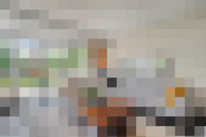 Grieglaan 14 Voorschoten thumbnail 15