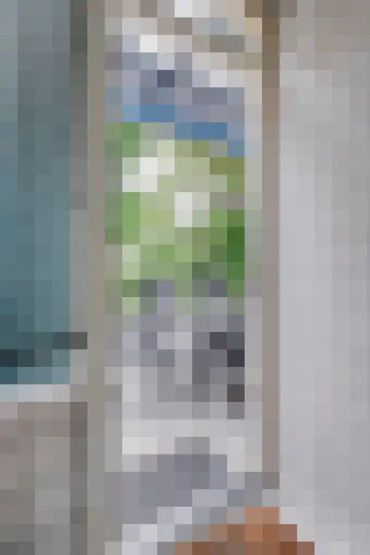 Grieglaan 14 Voorschoten thumbnail 30
