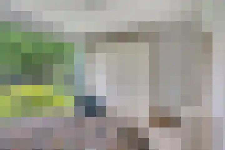 Grieglaan 14 Voorschoten thumbnail 33