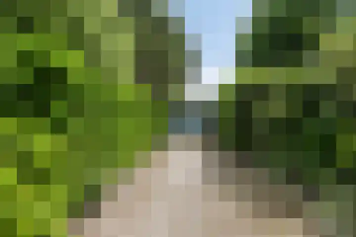 Grieglaan 14 Voorschoten thumbnail 4