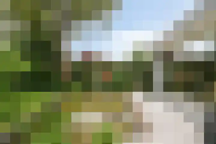 Grieglaan 14 Voorschoten thumbnail 45