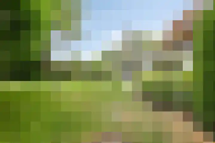 Grieglaan 14 Voorschoten thumbnail 48