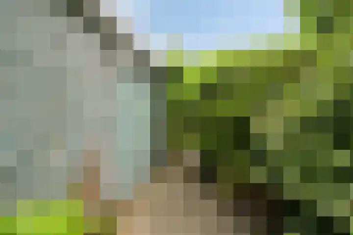 Grieglaan 14 Voorschoten thumbnail 49