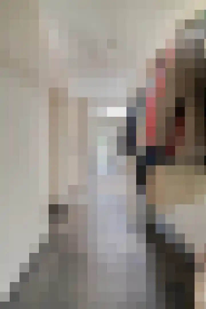 Grieglaan 14 Voorschoten thumbnail 8