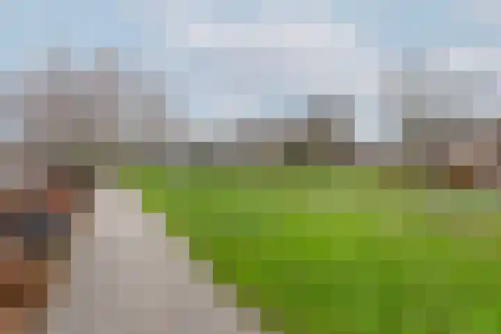 Griegplantsoen 39 Barendrecht thumbnail 35