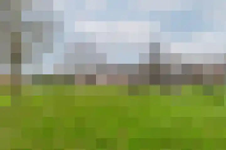 Griegplantsoen 39 Barendrecht thumbnail 37