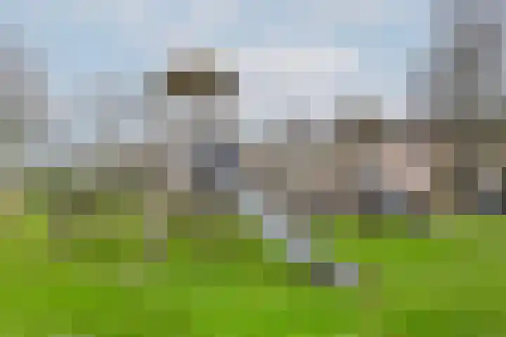 Griegplantsoen 39 Barendrecht thumbnail 38