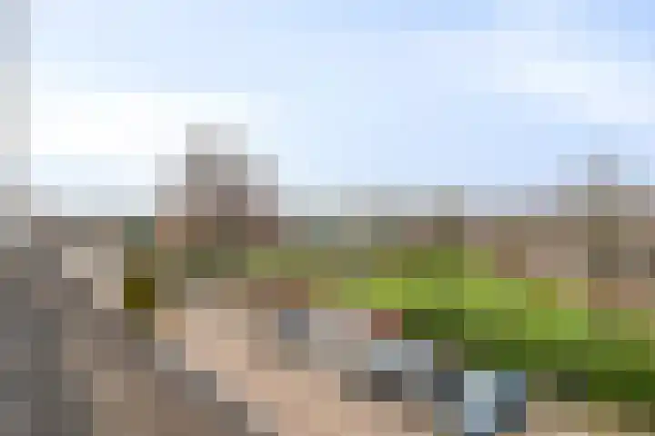 Griegplantsoen 45 Barendrecht thumbnail 32